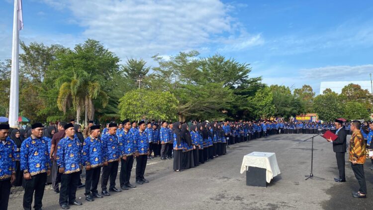 1.397 P3K Paruh Waktu Kota Subulussalam Dilantik