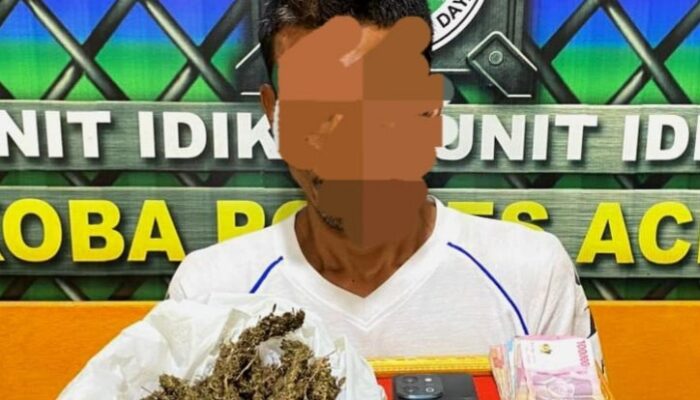 Polres Abdya Bongkar Peredaran Ganja, 250 Gram BB Disita