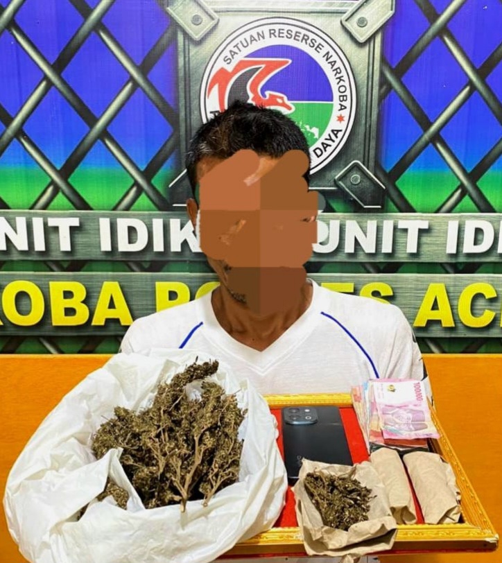 Polres Abdya Bongkar Peredaran Ganja, 250 Gram BB Disita
