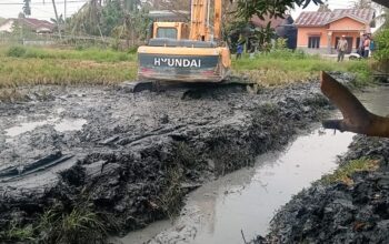 Pemkab Deliserdang Turunkan Alat Berat Normalisasi Saluran Irigasi di Sidodadi Ramunia