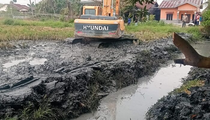 Pemkab Deliserdang Turunkan Alat Berat Normalisasi Saluran Irigasi di Sidodadi Ramunia