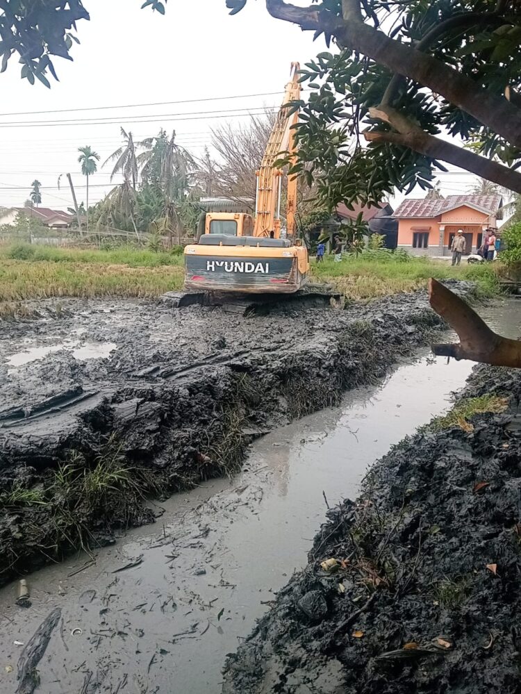 Pemkab Deliserdang Turunkan Alat Berat Normalisasi Saluran Irigasi di Sidodadi Ramunia