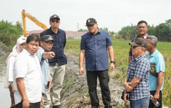 Tinjau Normalisasi Saluran Irigasi Sidodadi Ramunia, Bupati: Saya Minta Gabah Petani Jangan Dijual Keluar Daerah