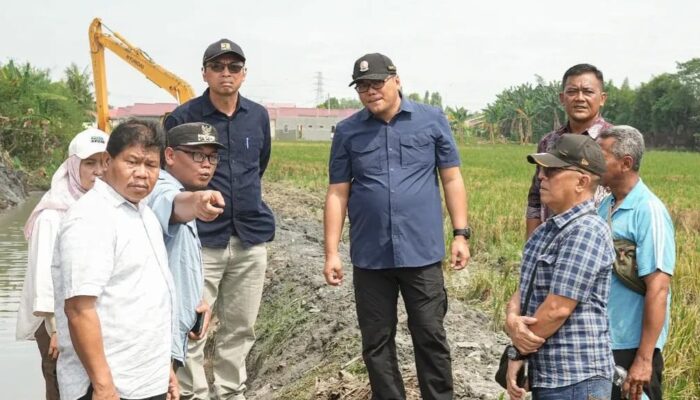 Tinjau Normalisasi Saluran Irigasi Sidodadi Ramunia, Bupati: Saya Minta Gabah Petani Jangan Dijual Keluar Daerah
