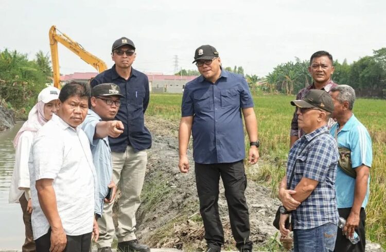 Tinjau Normalisasi Saluran Irigasi Sidodadi Ramunia, Bupati: Saya Minta Gabah Petani Jangan Dijual Keluar Daerah