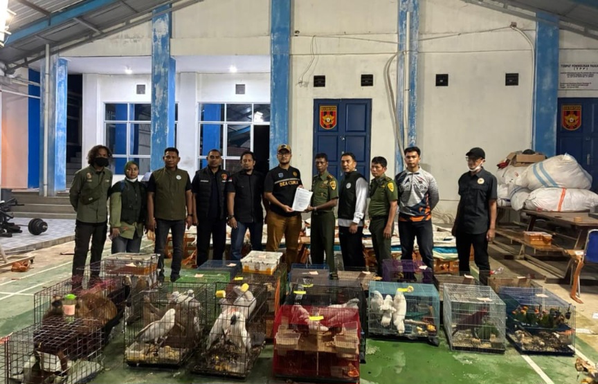 Tim Gabungan Bea Cukai Langsa Gagalkan Penyelundupan Satwa Liar ke Thailand