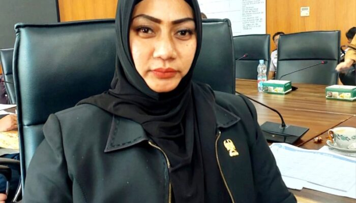 DPRD Medan Desak Dinas SDABMBK Bebaskan Parit Dari Sampah Dan Lumpur