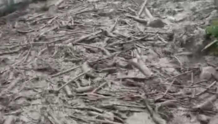 Banjir Susulan Terjang Desa Damaran, BPBD Bener Meriah Pastikan Tidak Ada Korban