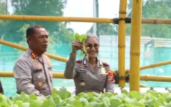 Kapolres Simalungun Semangati Warga Lapas Saat Panen Raya: “Jadikan Pengalaman Ini Bekal”