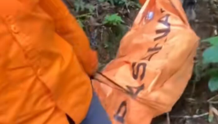 Temukan dan Evakuasi Dua Korban Pesawat ATR, Basarnas Maksimalkan Golden Time