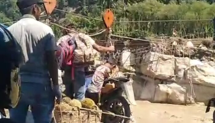 Warga Puteng Pantan Reduk Antre Gunakan Sling Saat Angkut Durian