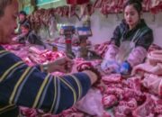 Pemko Medan Diminta Atur Penjualan Daging Babi Di Permukiman