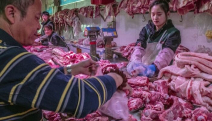 Pemko Medan Diminta Atur Penjualan Daging Babi Di Permukiman