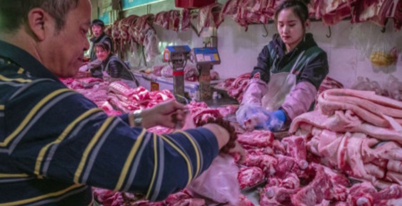 Pemko Medan Diminta Atur Penjualan Daging Babi Di Permukiman