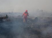 Kebakaran Hutan dan Lahan di Aceh Barat Meluas, Upaya Pemadaman Masih Berlangsung