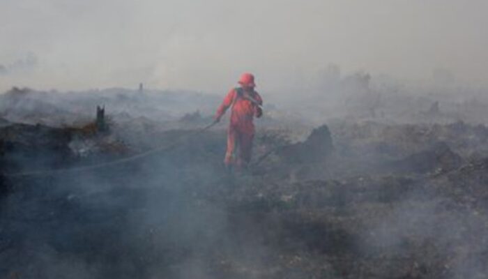 Kebakaran Hutan dan Lahan di Aceh Barat Meluas, Upaya Pemadaman Masih Berlangsung