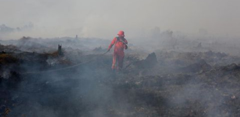 Kebakaran Hutan dan Lahan di Aceh Barat Meluas, Upaya Pemadaman Masih Berlangsung