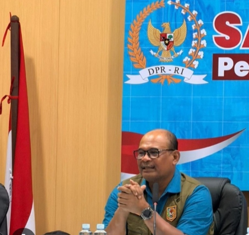 Klarifikasi Pelaksana Satgas: Bukan 100 Persen Melainkan Baru 19,9 Persen Huntara Rampung