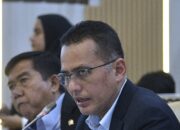 Musa Rajekshah Ingatkan Penanganan Pascabencana Tak Hanya Bersifat Sementara