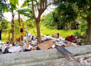 Sampah Dan Gepeng Menjamur, PAC MAI Medan Barat Soroti Kinerja Aparatur Sei Agul