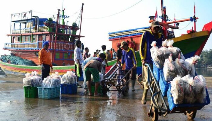 Dorong Produksi Perikanan Nasional, Teknologi Maritim Perlu Menyentuh Kampung Nelayan