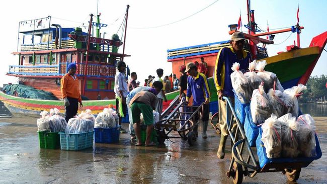 Dorong Produksi Perikanan Nasional, Teknologi Maritim Perlu Menyentuh Kampung Nelayan