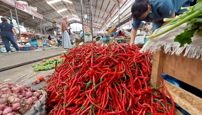 Harga Cabai Sumut Terjun Bebas, Pengaruhi Riau Dan Sumbar