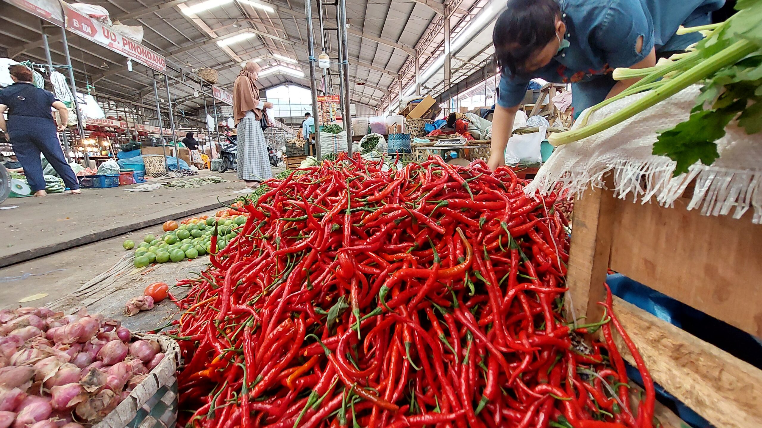 Harga Cabai Sumut Terjun Bebas, Pengaruhi Riau Dan Sumbar