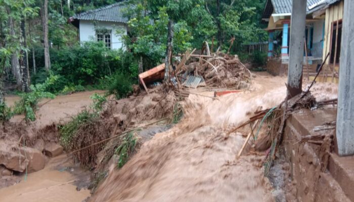 BRIN: Banjir Bandang Jadi Alarm Keruntuhan Ekosistem Hutan