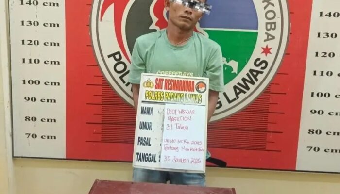 Polres Palas Ungkap Kasus Narkoba, Satu Pelaku Diamankan