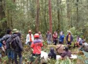 Pencarian Suraman Cibro Dihentikan, Personel BPBD Digeser Ke Kaban Tengah