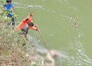 Hilang 4 Hari, Yanti Banurea Ditemukan Mengapung Di Sungai Lae Kombih