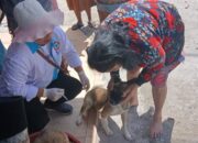 Humbang Hasundutan Tingkatkan Kesiapsiagaan Tangani Rabies