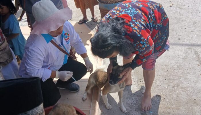 Humbang Hasundutan Tingkatkan Kesiapsiagaan Tangani Rabies