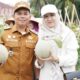 Padanglawas Panen Perdana 1,8 Ton Melon Dari Kebun Binaan Bupati Dan TP PKK
