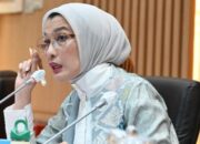 Dewas Punya Posisi Startegis Memastikan Kebijakan BPJS Kesehatan Berjalan Seimbang Dan Berkeadilan