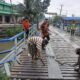Pengusaha Tionghoa Bantu Rehab Jembatan Desa Pantai Labu Pekan