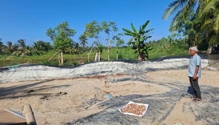 Pascabanjir Bandang Bireuen, Ekonomi Warga Pesisir Menjerit