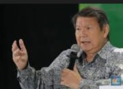 4 Juta Hektare Hutan Lindung Dan Taman Nasional Dijadikan Kebun Sawit Ilegal