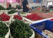 Harga Cabai dan Tomat Mulai Naik Jelang Ramadan di Lambaro