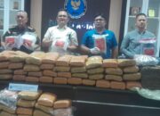 Tangkap 10 Bandar Narkoba, BNNP Sumut Sita 210 Kg Ganja Dan 4 Kg Sabu