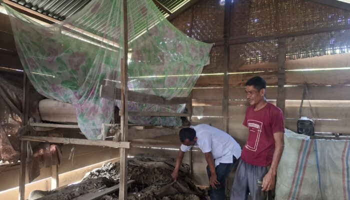 Dua Bulan Pascabanjir Di Bireuen, Simpan Kisah Pilu Jamaluddin Tidur Di Atas Lumpur