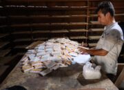 Harga Kedelai Impor Naik, Perajin Tempe-Tahu Aceh Keluhkan Biaya Produksi