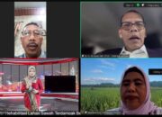 Jaga Ketahanan Pangan Nasional, Pemerintah Dorong Rehabilitasi Sawah Terdampak Bencana