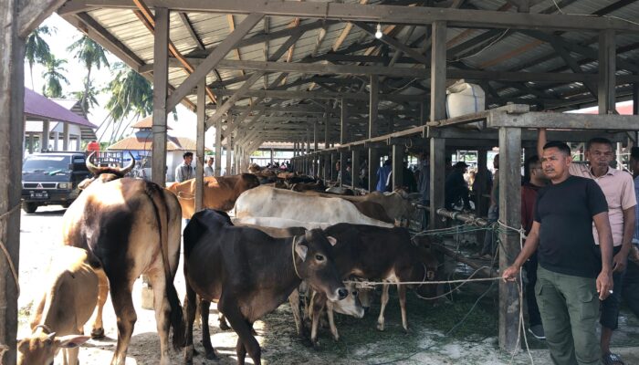 Pemko Banda Aceh Gelar Operasi Pasar Daging Subsidi Sambut Meugang Ramadhan 2026