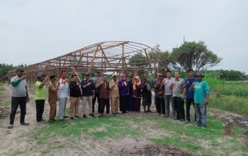 Penanaman Anggur Perdana di Bantaran Sungai Ular Disiapkan Jadi Objek Wisata Beringin