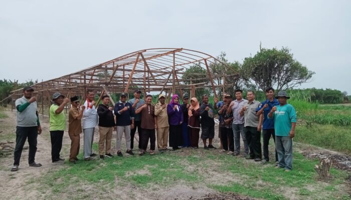Penanaman Anggur Perdana di Bantaran Sungai Ular Disiapkan Jadi Objek Wisata Beringin