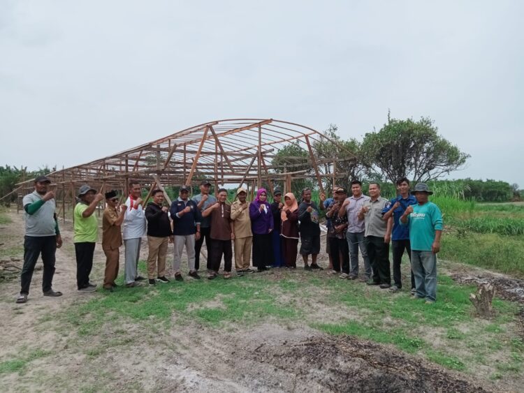 Penanaman Anggur Perdana di Bantaran Sungai Ular Disiapkan Jadi Objek Wisata Beringin