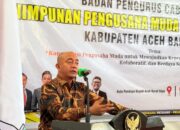 Atok Roni Dorong HIPMI Abdya Perkuat Kolaborasi Dengan Pemda