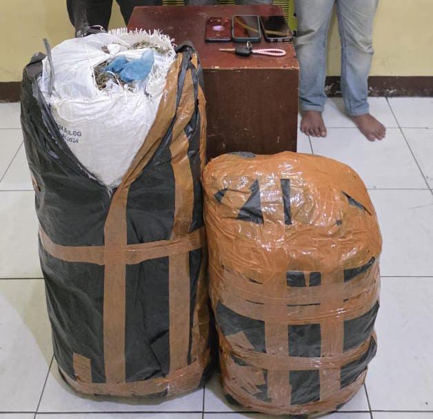 Polda Sumut Gagalkan Peredaran 20 Kg Ganja Asal Aceh, Tiga Pelaku Diamankan Di Medan
